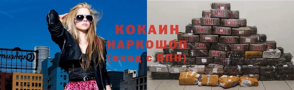 apvp Горняк