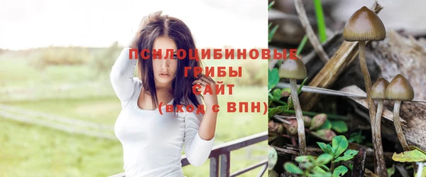 apvp Горно-Алтайск
