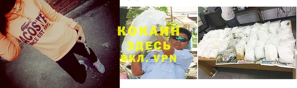 apvp Горняк