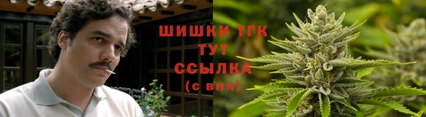 2c-b Горнозаводск