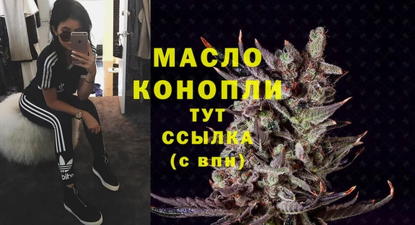 apvp Горняк