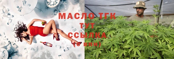 apvp Горняк