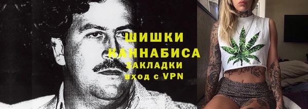 apvp Горняк